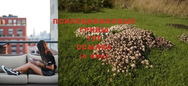 дурь Алексеевка