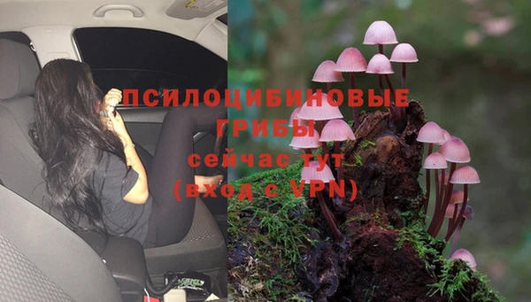 дурь Алексеевка