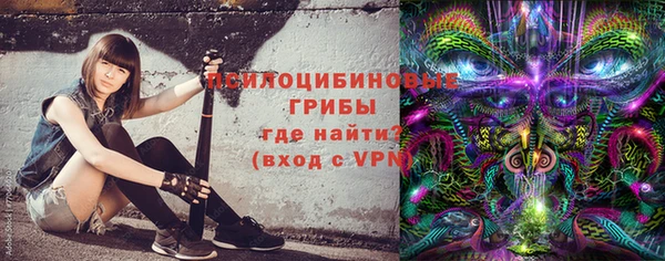 дурь Алексеевка