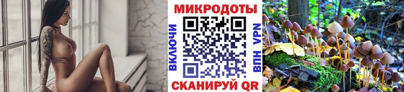 Галлюциногенные грибы MAGIC MUSHROOMS Самара