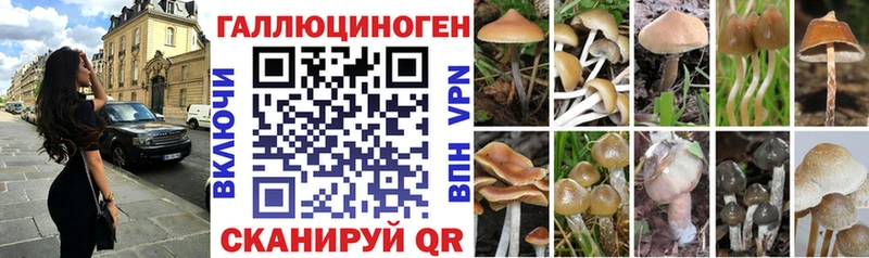 Псилоцибиновые грибы GOLDEN TEACHER Самара