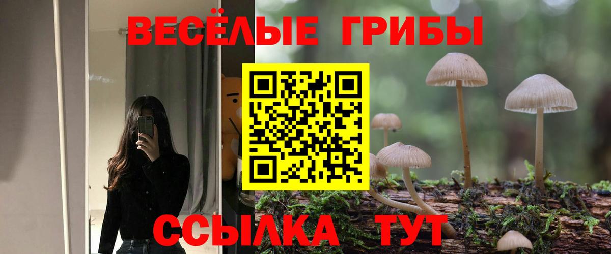 Галлюциногенные грибы GOLDEN TEACHER  Вход с VPN  Галлюциногенные грибы MAGIC MUSHROOMS  Самара 