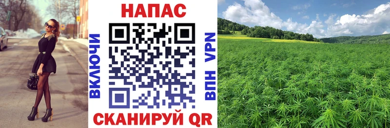 Бошки Шишки индика  Самара 